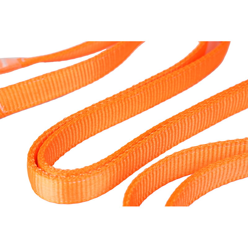 L19 Absturzsicherungs-Doppelsicherungsleine mit dickem Gurtband und ANSI-Haken